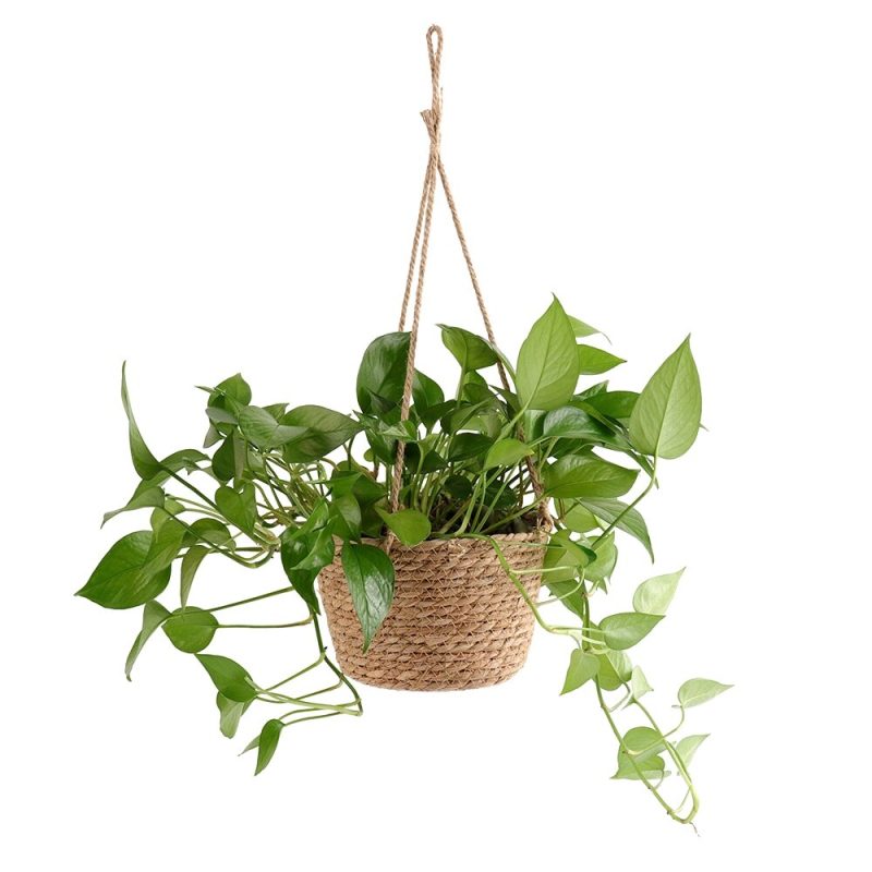 Macrame Woven Plant Basket Flower Pot Hangers Home Decor - Image 2